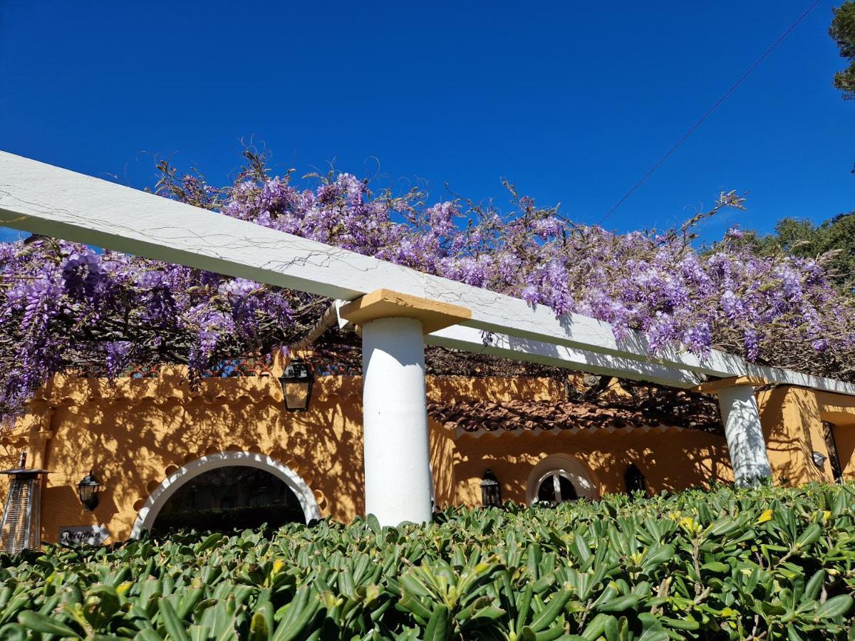 Le Cosy Hotel Saint Aygulf Exterior photo