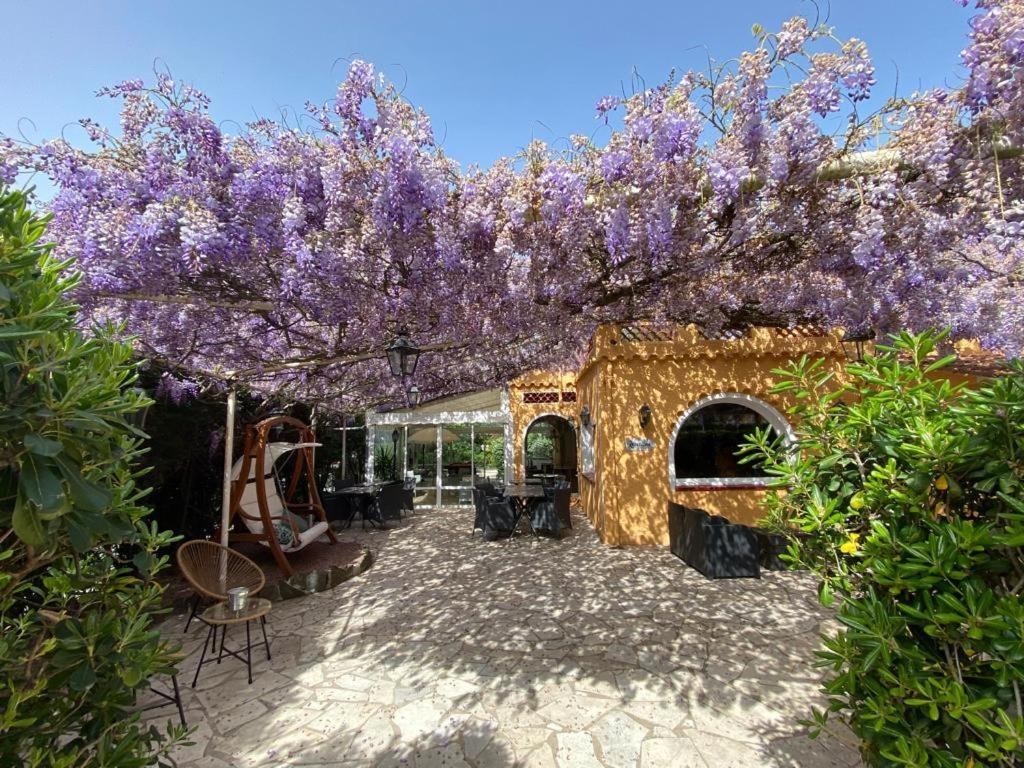Le Cosy Hotel Saint Aygulf Exterior photo